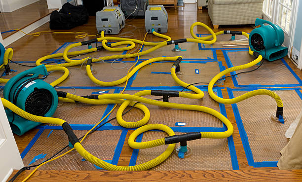 Professional Basement Flood Cleanup technician working in Pleasanton, TX